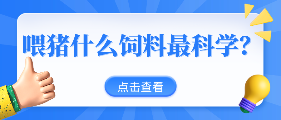 干料飼喂、粥料飼喂、液態飼喂，不同飼喂模式的效益成本分析