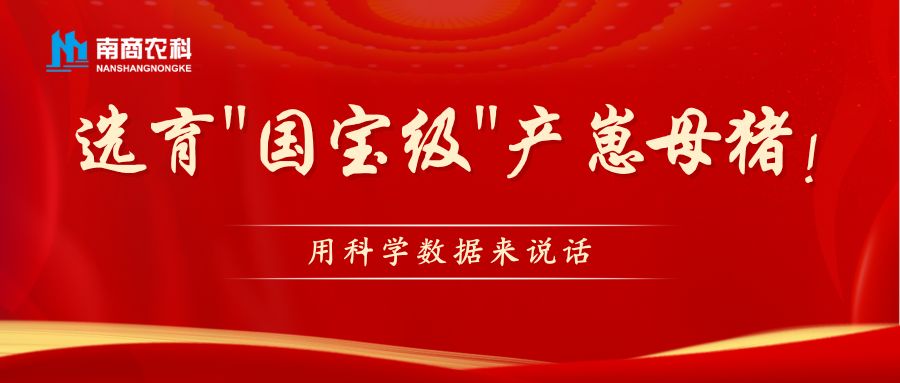 科學數據助力"國寶級"產崽母豬選育：數字化時代下的種畜選育新思路